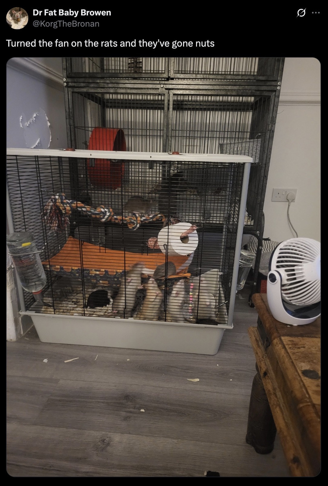 Need context, please.